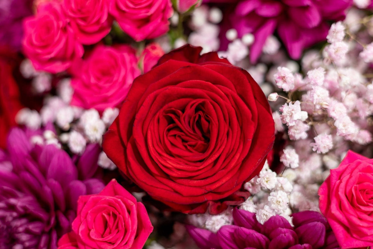 Chic Burgundy Beauty blossom box angle Daily Flowers