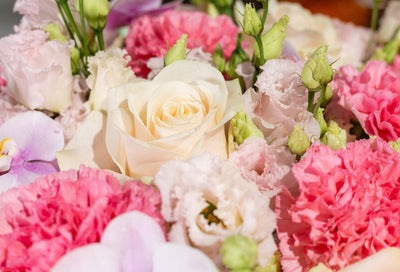 Pastel Poetry blossom box side view Daily Flowers