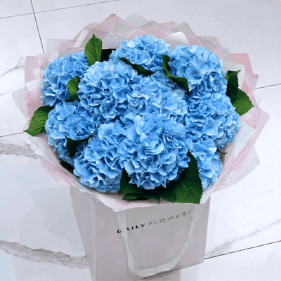 Blue Hydrangea, Verena Blue bouquet by Daily Flowers