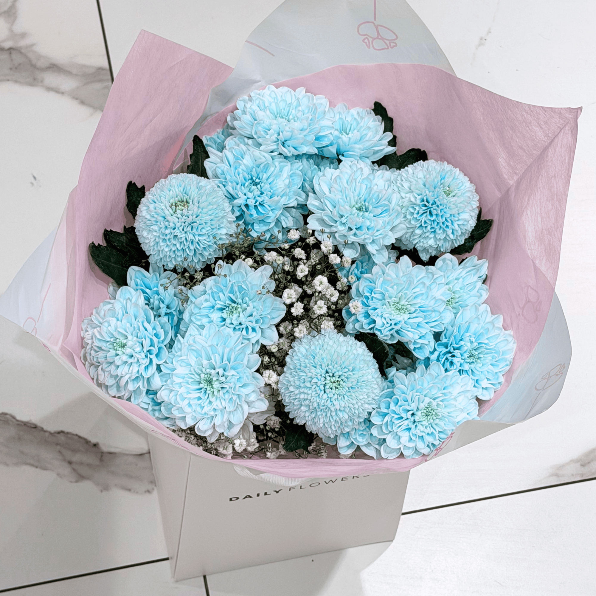 Blue Dream - Mini