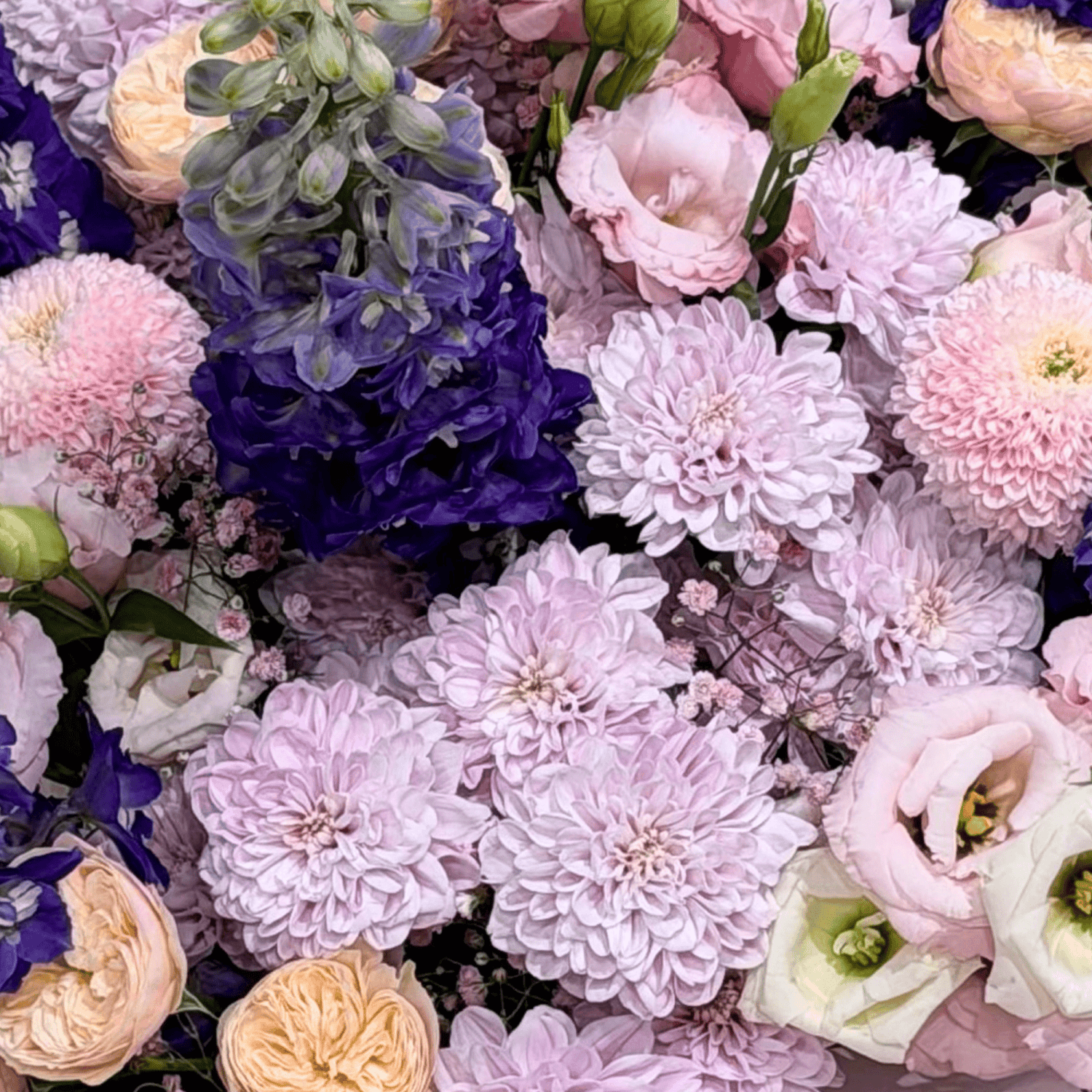 Blushing fairytale bouquet with roses, gypsophila and lisianthus by Daily Flowers