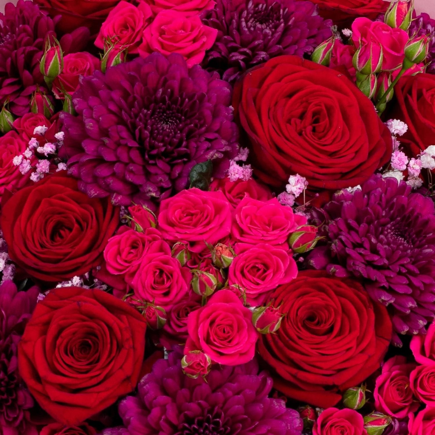 Chic Burgundy Beauty bouquet close-up Daily Flowers