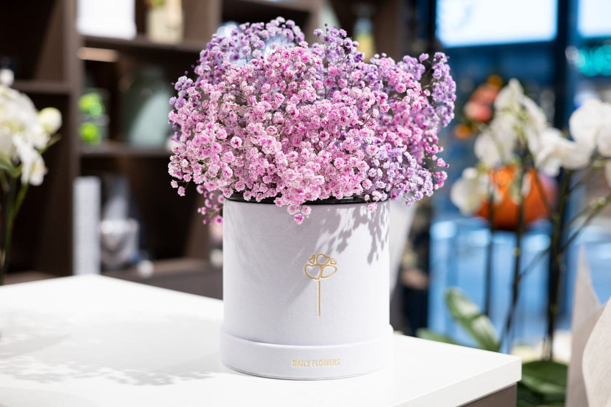 Flowers in a box Colorful Babys Breath arrangement Daily Flowers
