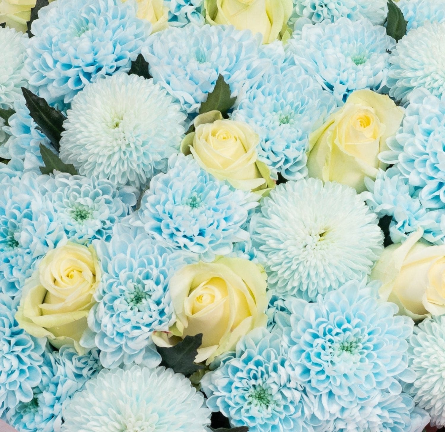 Frozen Fairytale Flowers bouquet detail Daily Flowers
