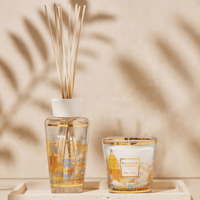 Gift Box, My First Baobab À Saint-Tropez at Daily Flowers