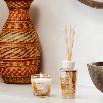 Gift Box, My First Baobab À Saint-Tropez at Daily Flowers