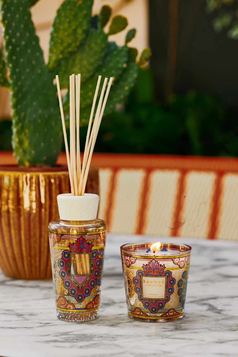 Gift Box My First Baobab Mexico collection