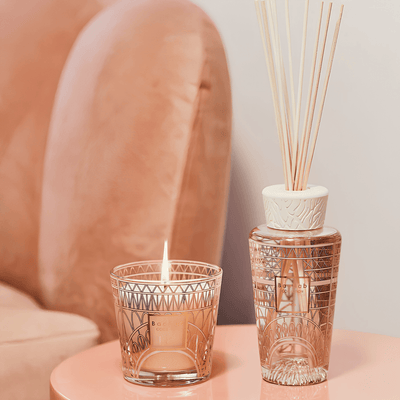 Gift Box, My First Baobab Paris at Daily Flowers