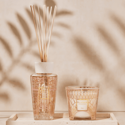 Gift Box, My First Baobab Paris at Daily Flowers