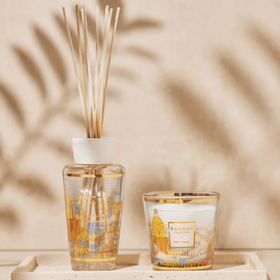 Gift Box - My First Baobab À Saint-Tropez