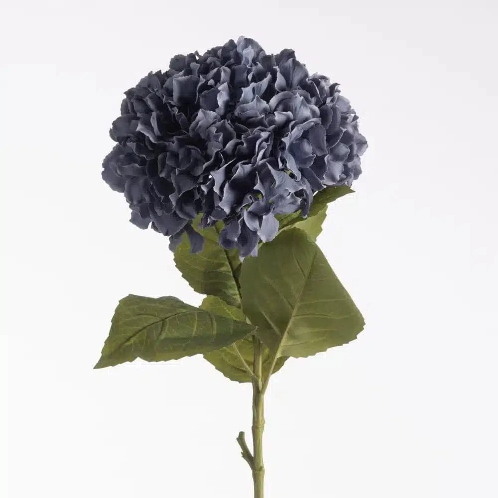 Hydrangea purple close-up Daily Flowers
