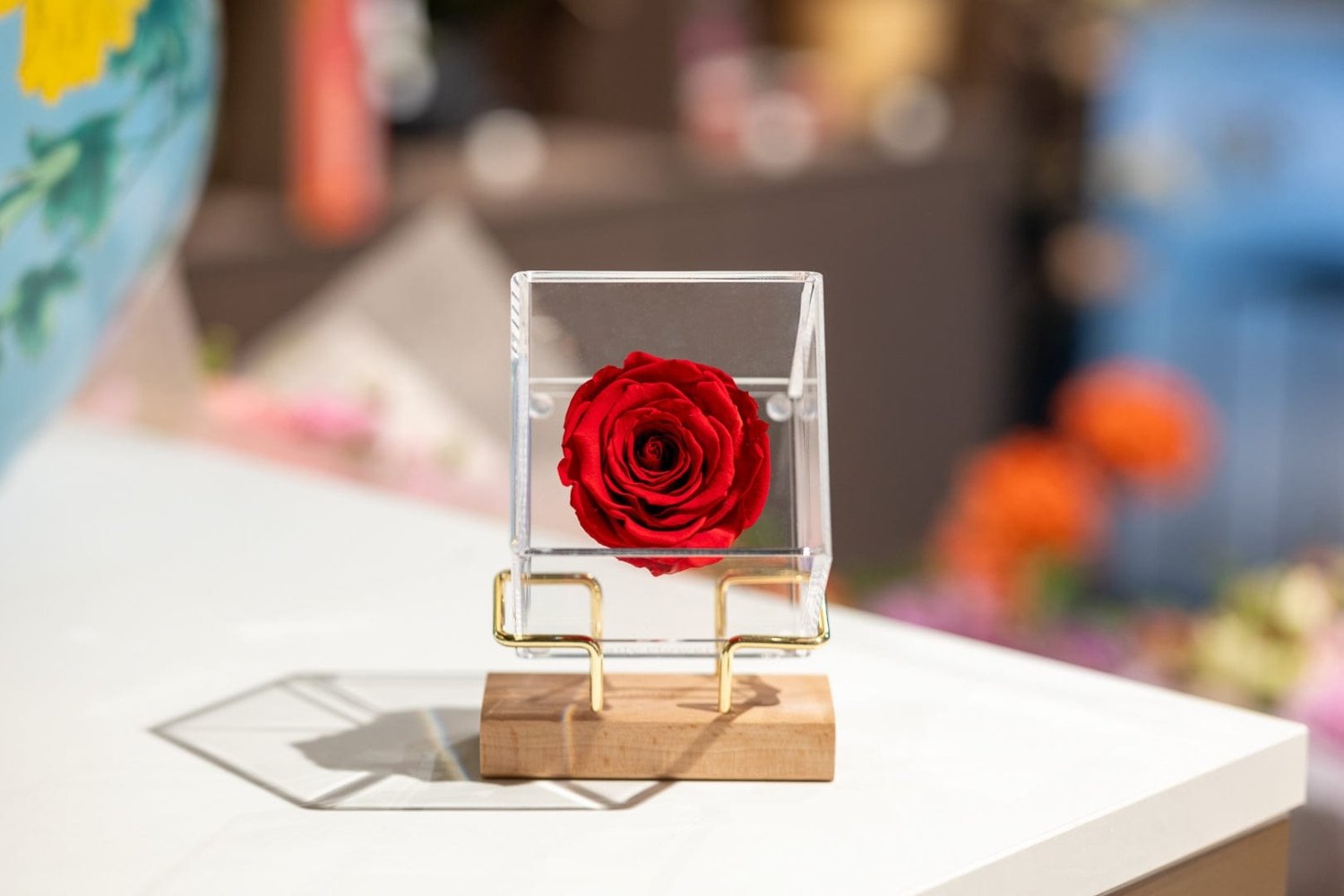 Luxury preserved rose red Daily Flowers