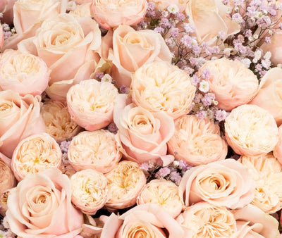 Pastel Princess flower bouquet close-up Daily Flowers