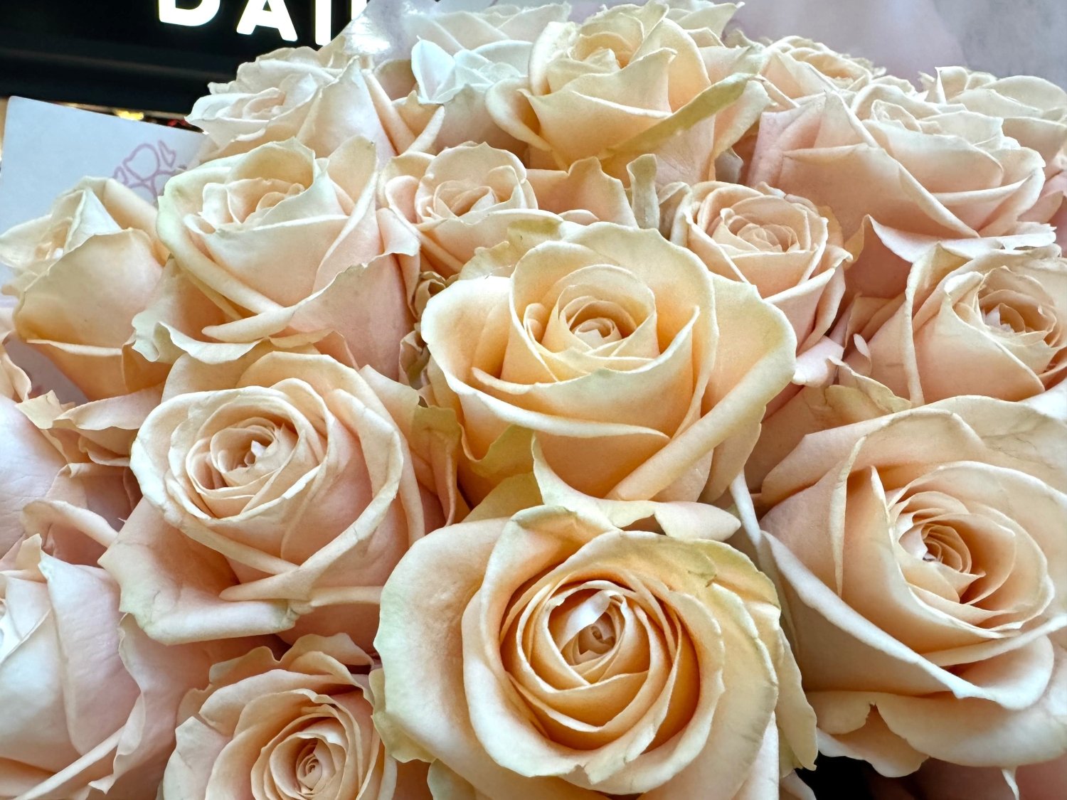 Peach Avalanche roses bouquet close-up Daily Flowers
