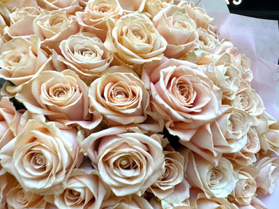 Peach Avalanche roses arrangement Daily Flowers