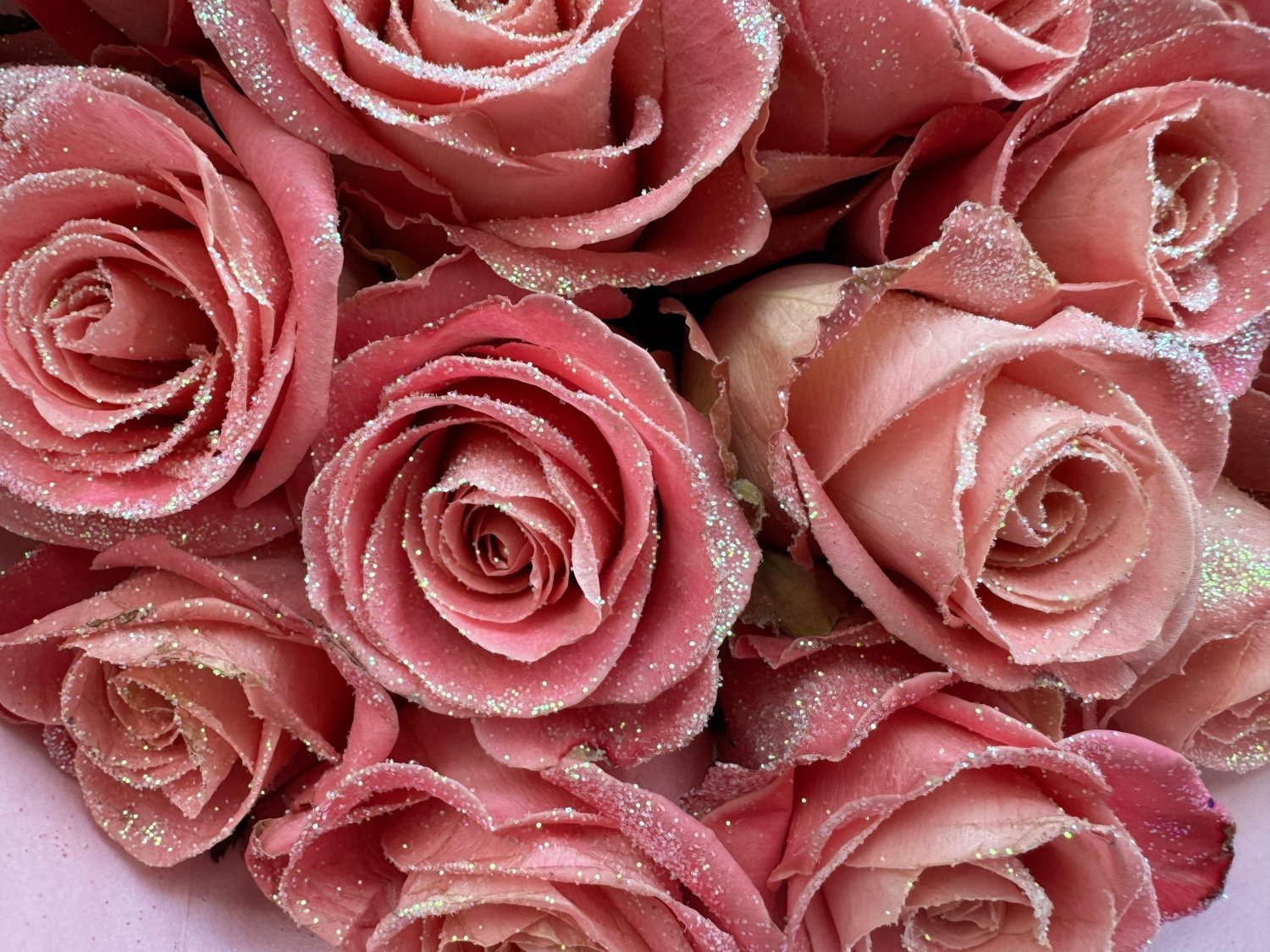 Pink glitter roses product shot Daily Flowers