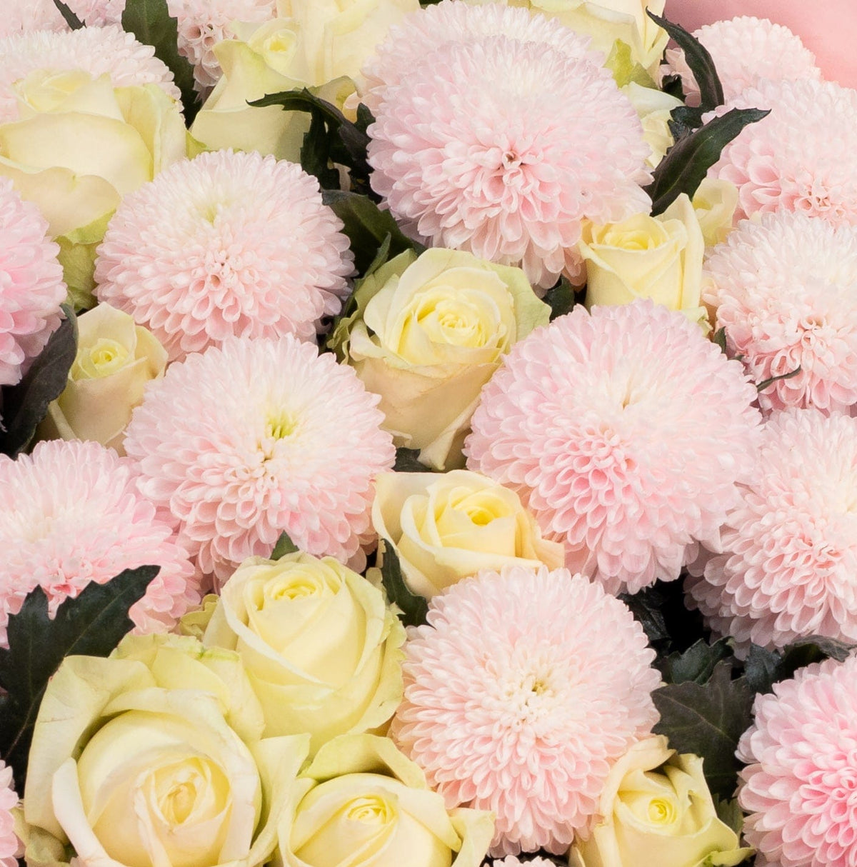 Pink Snow Princess bouquet detail Daily Flowers