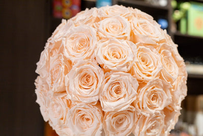 Preserved Rose Bowl side view Daily Flowers