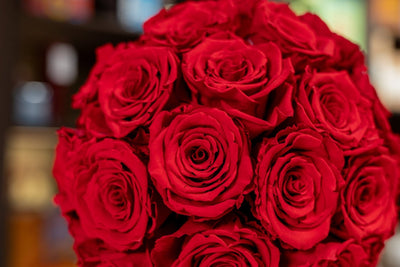 Preserved Rose Bowl close-up Daily Flowers