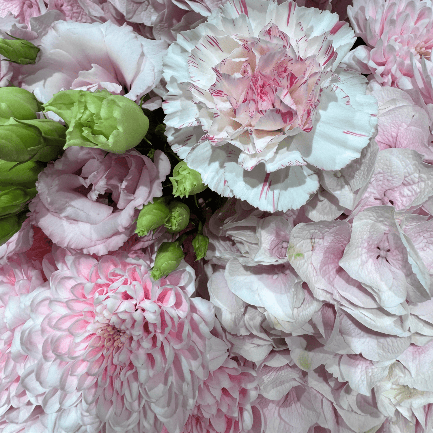 Pretty Pink Princess bouquet lifestyle Daily Flowers