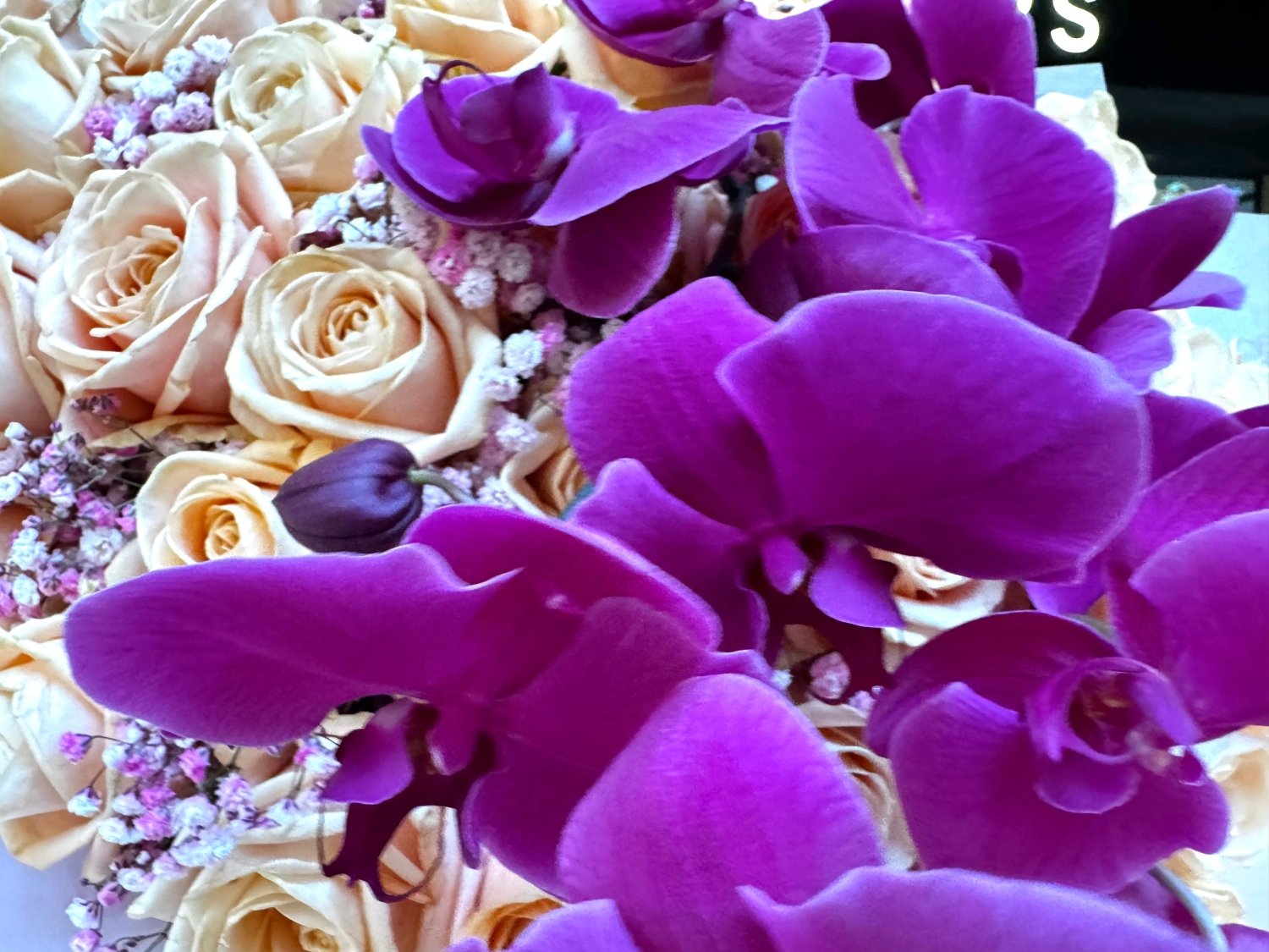 Princess Standard lifestyle Daily Flowers Amsterdam