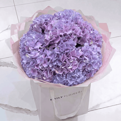 Purple Hydrangea bouquet by Daily Flowers