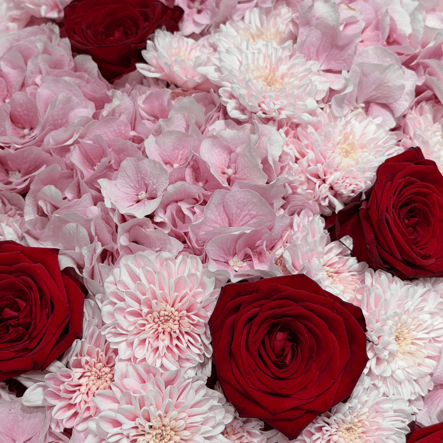 Red Romance Dream bouquet with roses, hydrangea and chrysanthemums by Daily Flowers