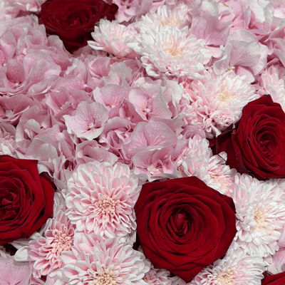 Red Romance Dream