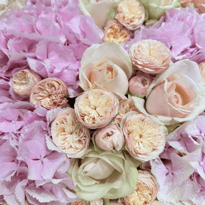 Royal Princess Blush bouquet with roses by Daily Flowers
