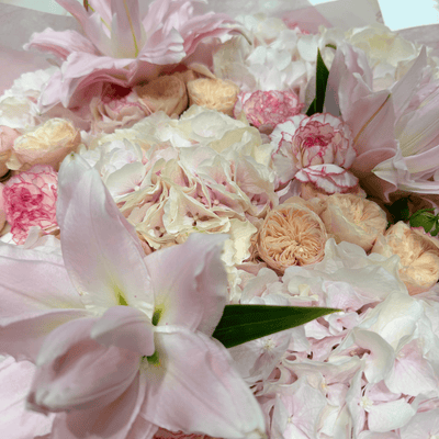 Royal Lily Dream