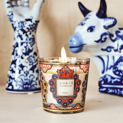 Scented Candle, My First Baobab Mexico at Daily Flowers