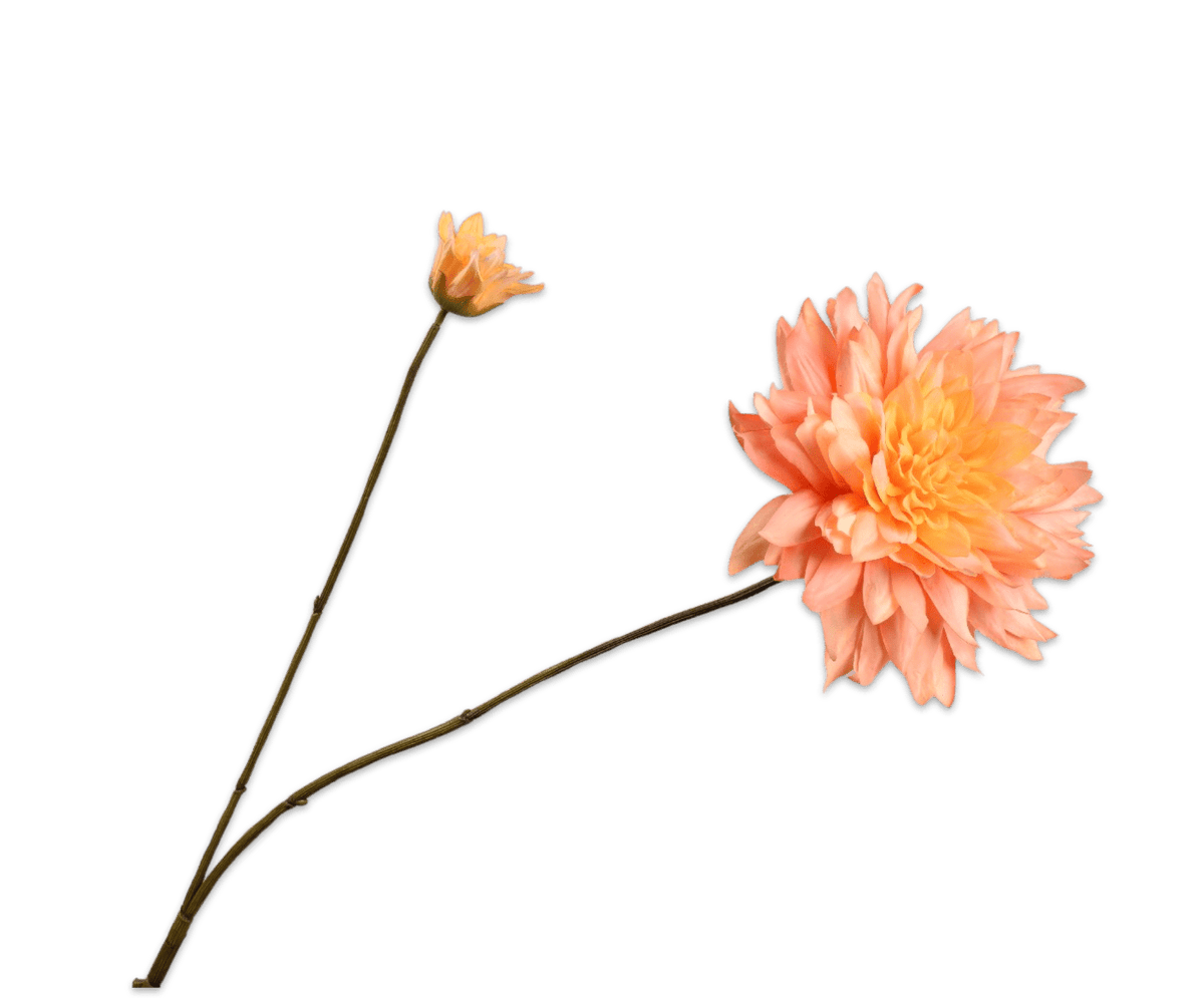 Silk dahlia sunset apricot