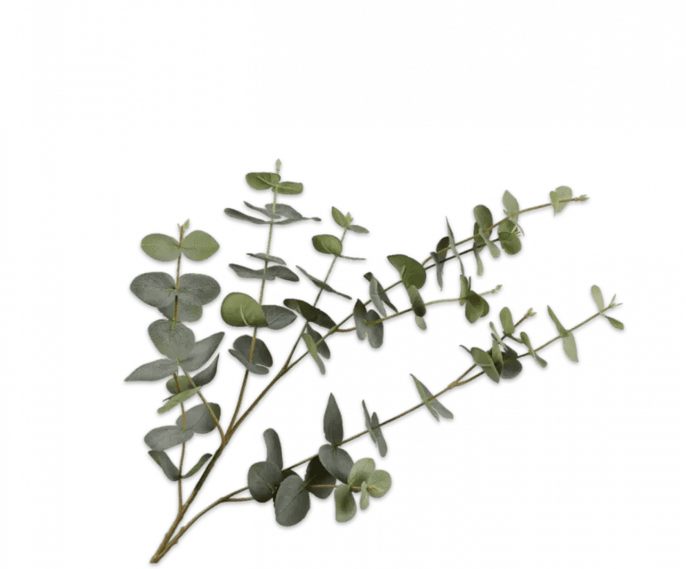Silk green eucalyptus stem 95 cm