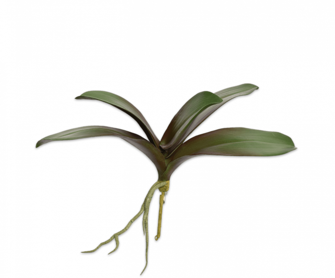 Silk green orchid leaf stem