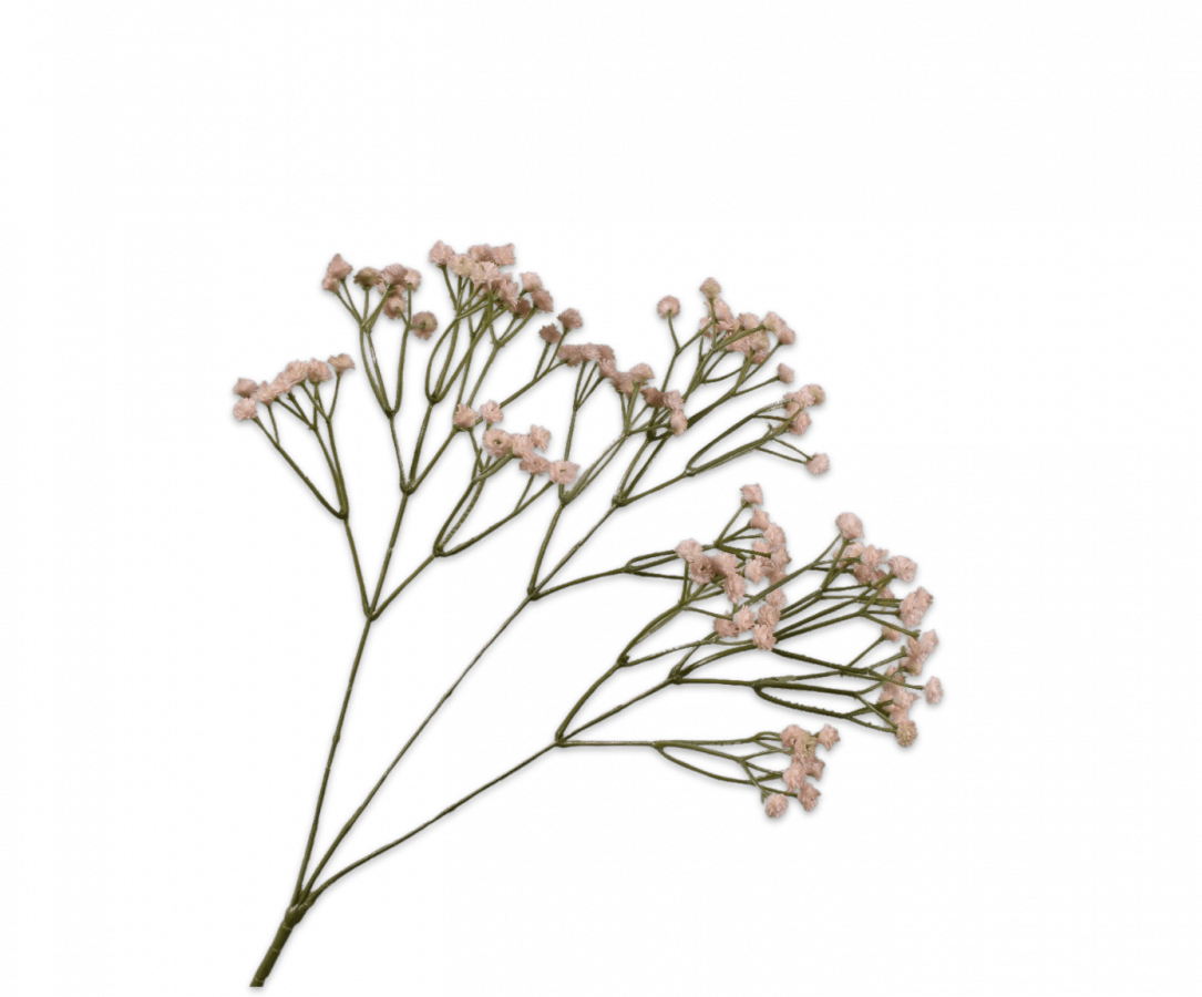 Silk pink gypsophila stem