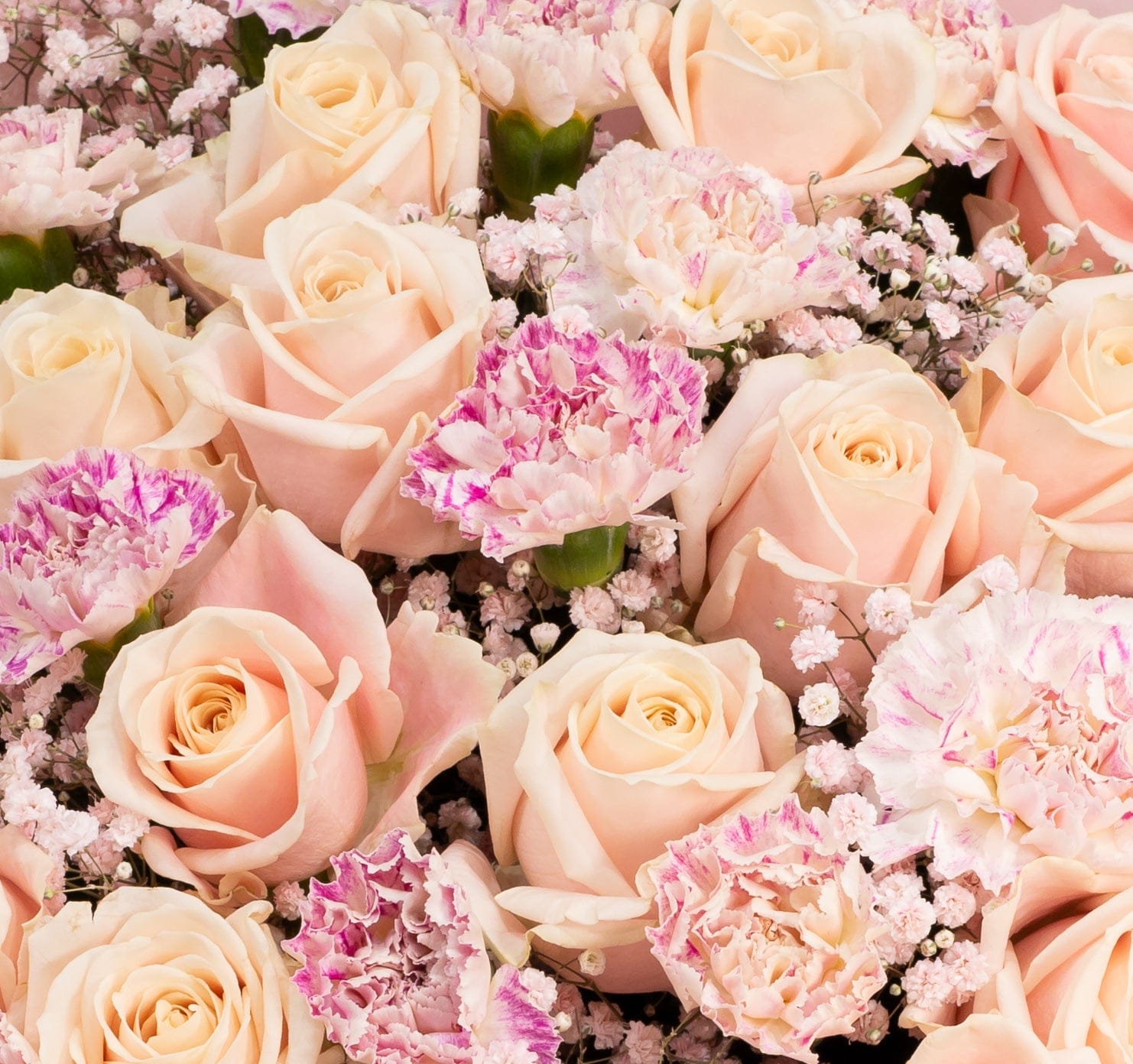 The Dreamier The Better flower bouquet close-up Daily Flowers