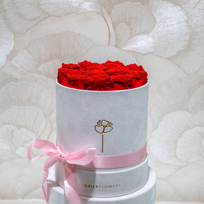 Exclusive Box of Love preserved roses luxury gift Daily Flowers