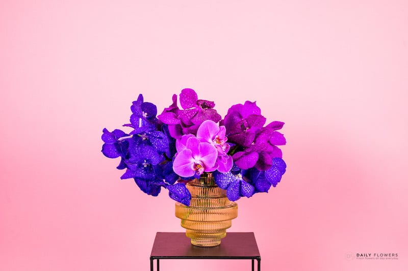 Vanda's in vase