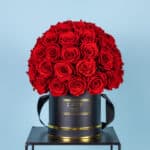 Long lasting preserved red roses