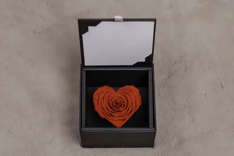 Preserved red rose heart